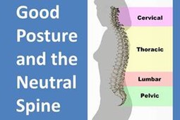 chiropractor posture core strengthening